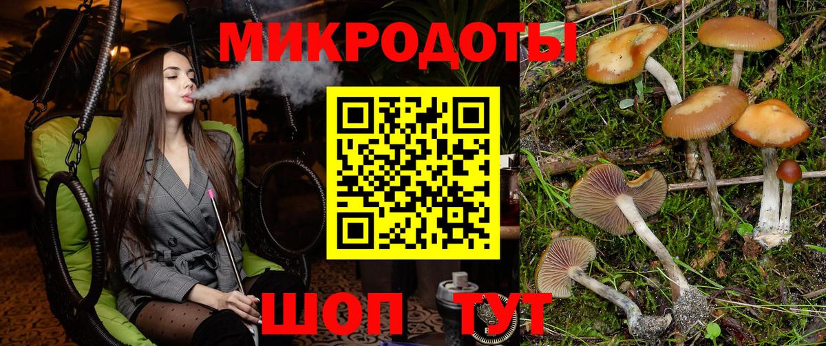 Псилоцибиновые грибы Psilocybe  Вход с VPN  Рославль 