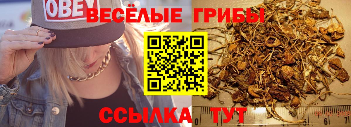 Галлюциногенные грибы ЛСД Рославль