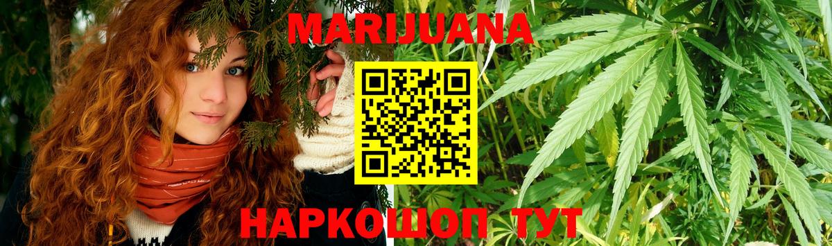 Каннабис OG Kush Рославль